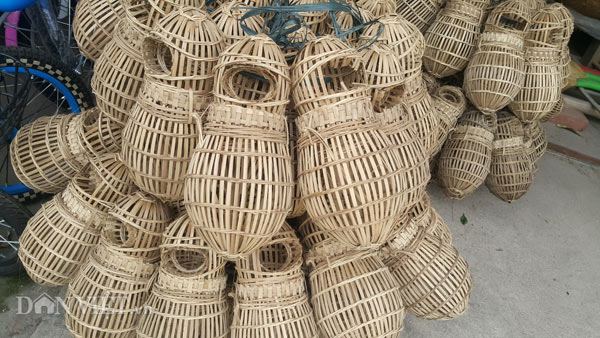 Clip: Mẹo bẫy cua đồng cực kì đơn giản mà thu cả chục triệu/tháng - 4