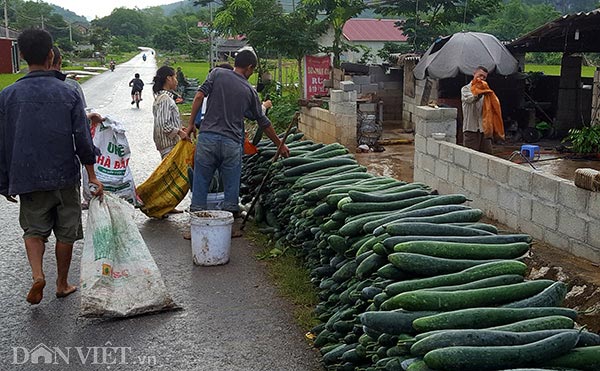 Lạng Sơn: Rơi nước mắt bán 1 tạ bí đao không mua nổi 2kg thịt lợn - 1