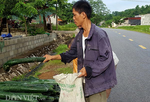 Lạng Sơn: Rơi nước mắt bán 1 tạ bí đao không mua nổi 2kg thịt lợn - 4