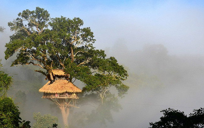 Khu bảo tồn thiên nhiên Bokeo, Lào: Nằm ở tỉnh Bokeo ở Lào, khu bảo tồn thiên nhiên này được tạo ra để bảo vệ vượn đen má đen, được cho là sắp tuyệt chủng.