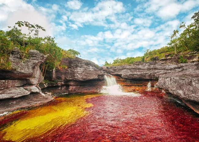 Caño Cristales: Vào những tháng mùa hè, dòng sông Colombia này chuyển sang màu đỏ. Trên thực tế, lòng sông được bao phủ bởi một loài thực vật độc đáo, và những thực vật này làm nước chuyển sang màu đỏ.
