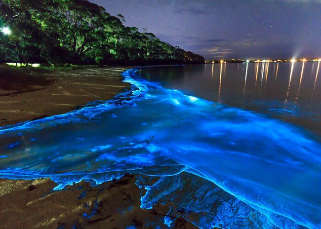Biển sao: Các sinh vật phù du biển phát quang ánh sáng màu xanh lam trong đêm làm cho khu vực biển tại đảo Vaadhoo trông giống như Biển sao. Biển sao của đảo Vaadhoo Maldives thu hút hàng triệu khách du lịch mỗi năm.  