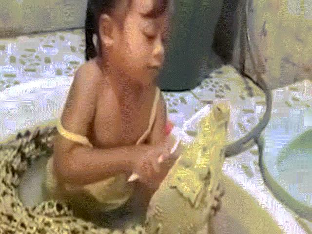 Bé gái đánh răng cho cá sấu trong khi đang tắm chung bồn