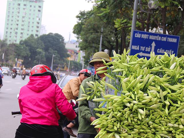 Hoa loa kèn cao nửa mét, giá trăm ngàn khiến người Sài Gòn lặn lội ra Hà Nội mua - 1