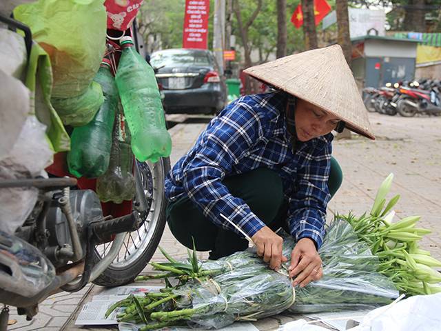 Hoa loa kèn cao nửa mét, giá trăm ngàn khiến người Sài Gòn lặn lội ra Hà Nội mua - 10