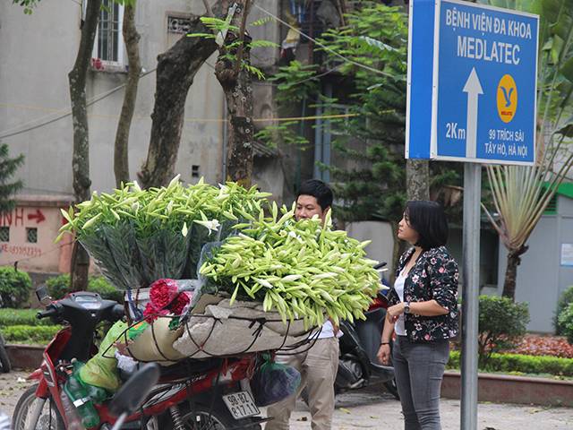 Hoa loa kèn cao nửa mét, giá trăm ngàn khiến người Sài Gòn lặn lội ra Hà Nội mua - 12