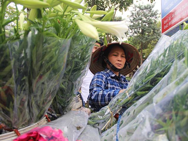 Hoa loa kèn cao nửa mét, giá trăm ngàn khiến người Sài Gòn lặn lội ra Hà Nội mua - 9