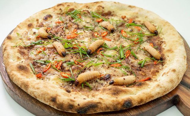 Món ăn kinh dị bậc nhất thế giới: Pizza đuông dừa bò lổm ngổm - 1