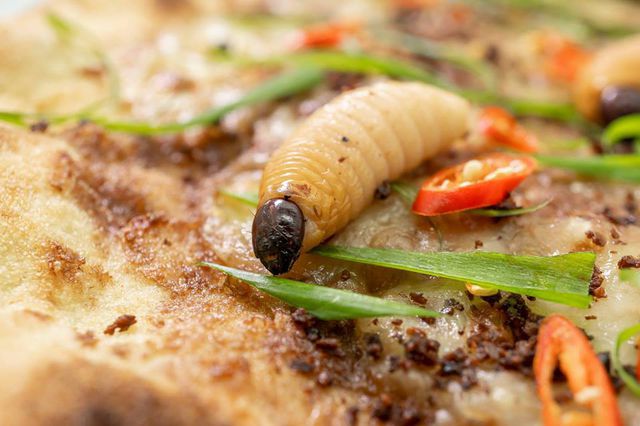 Món ăn kinh dị bậc nhất thế giới: Pizza đuông dừa bò lổm ngổm - 2