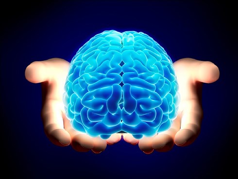 7 thói quen lặp lại mỗi ngày đang gây tổn thương nghiêm trọng đến não bộ - 1