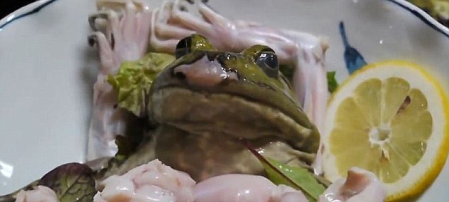 Món sashimi ếch sống lột da ngay trên đĩa của người Nhật khiến thực khách khiếp sợ - 1