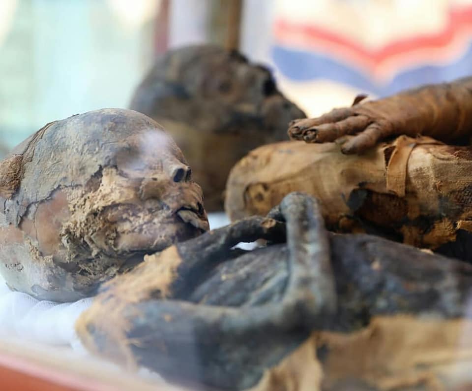 Phát hiện hàng loạt xác ướp trong mộ 2.000 năm ở Ai Cập - 1