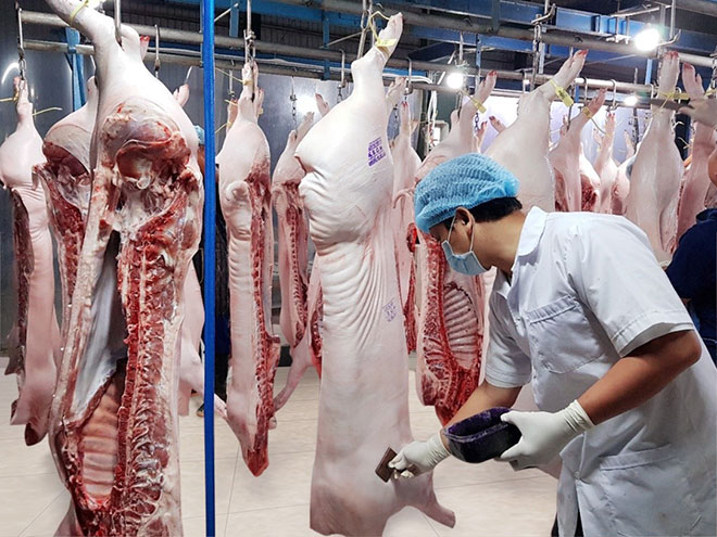 MM Mega Market Việt Nam tăng cường kiểm soát chất lượng thịt heo - 1