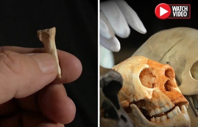 Phát hiện chủng người chưa từng biết đến ở Đông Nam Á 50.000 năm trước - 1