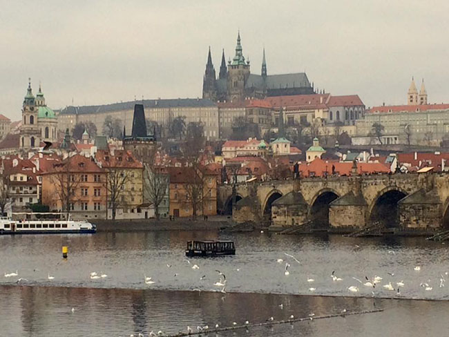 Buổi chiều tà là thời điểm đẹp nhất và thơ mộng nhất của Praha, ánh nắng vàng cuối ngày chiếu lên những viên gạch khiến cây cầu tình Charles và các con đường rực sáng như dát vàng, vì thế người ta hay gọi Praha là “thành phố vàng”.