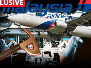 Thế giới - Màn ẩu đả đẫm máu bên trong buồng lái khiến MH370 mất tích?