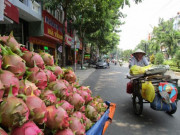 Thị trường - Tiêu dùng - Trung Quốc siết đường tiểu ngạch, lo rau quả bí đầu ra