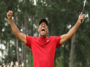 Thể thao - “Siêu hổ” Tiger Woods gầm thét trở lại: Fan cuồng đánh liều &quot;vớ&quot; triệu đô