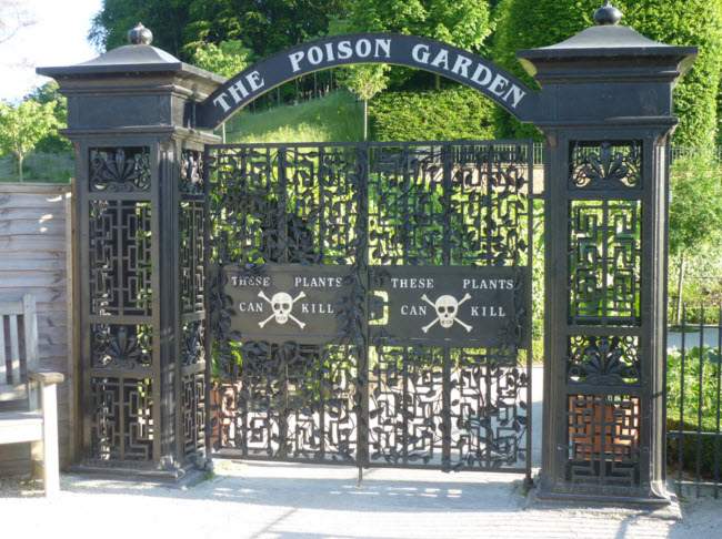 Đằng sau cánh cổng này, du khách sẽ khám phá nơi hấp dẫn nhất của khu vườn Alnwick.