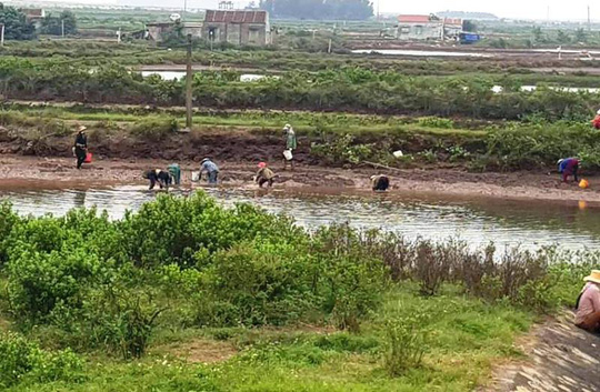 Thực hư thông tin xã &#34;bật đèn xanh&#34; cho hàng chục người &#34;hôi&#34; ngao - 1