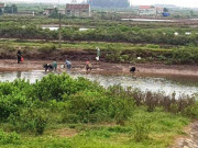 Tin tức trong ngày - Thực hư thông tin xã &quot;bật đèn xanh&quot; cho hàng chục người &quot;hôi&quot; ngao