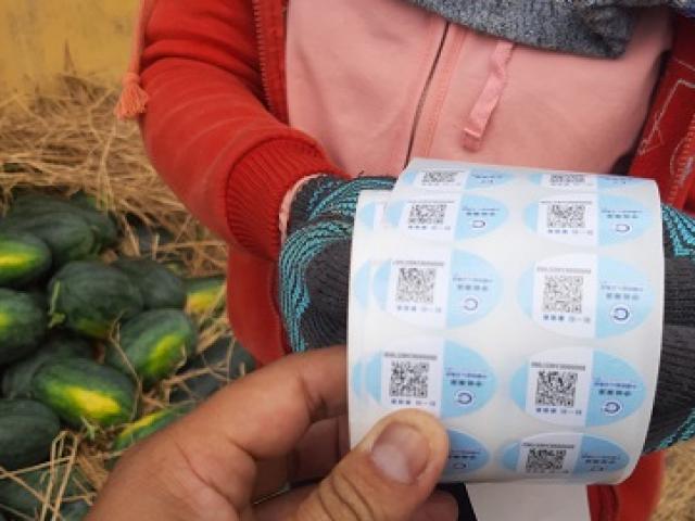 Dưa hấu dán tem Trung Quốc: Đúng mã vạch ”893” của Việt Nam