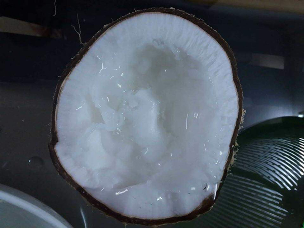 Đắt gấp 20-25 lần dừa thường, loại dừa này vẫn luôn cháy hàng - 1