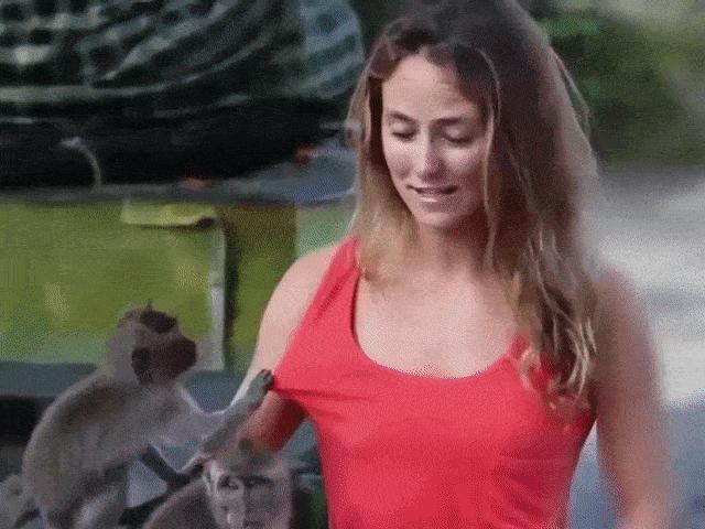 Chị em hoang mang khi bất ngờ bị lũ khỉ ”sàm sỡ” trong công viên