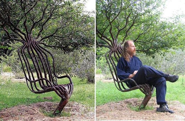 Chiếc ghế có hình thù gớm ghiếc này được trồng và tạo dáng trực tiếp từ một cái cây mà không cần đẽo gọt. Mỗi chiếc ghế làm từ cây có giá lên tới gần 160 triệu đồng.