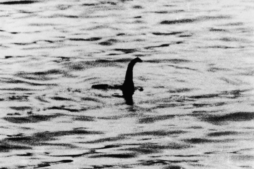 Quái vật hồ Loch Ness tái xuất? - 1
