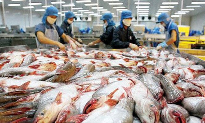 Mỹ bất ngờ đẩy mức thuế bán phá giá cá tra Việt Nam lên cao - 1