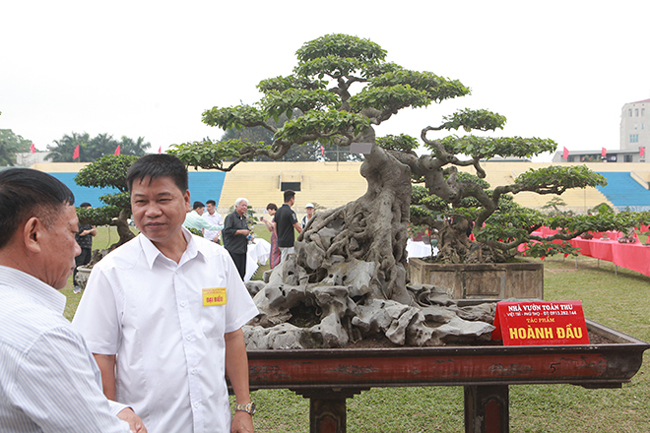 Anh Phan Văn Toàn &#40;TP.Việt Trì, Phú Thọ&#41;, chủ nhân của hai tác phẩm cho biết, đây là cặp sanh “hoành đầu” bởi các nghệ nhân xưa uốn&nbsp;theo dáng hoành đầu tiên trong dòng sanh.