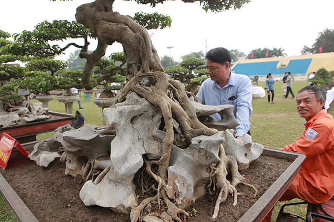 &#34;Đây là&nbsp;đá trắng lại có hình thù kì quái rất hiếm, hiện để tìm được hai khối đá nguyên bản như thế này rất khó&#34;, anh Toàn nói.