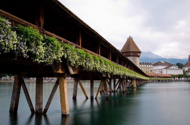 Lucerne, Thụy Sĩ: Thị trấn ven hồ ngoại ô thành phố Zurich đã làm siêu lòng nhiều du khách. Nơi đây nổi tiếng với những ngôi nhà mái tháp đẹp như tranh vẽ và cây cầu có mái che cổ nhất châu Âu. Thị trấn cũng nằm ngay chân núi Alps.