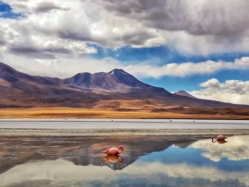 Bolivia- Nơi bạn có thể &#34;ẩn mình&#34; giữa thiên nhiên - 1