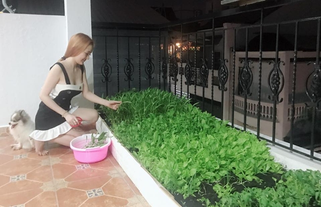 Ngoài ban công tầng thượng, DJ Na dành một góc nhỏ trồng rau sạch.