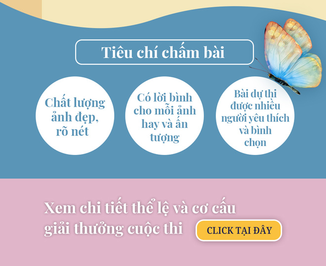 Hướng dẫn gửi bài dự thi &#34;Đẹp mỗi ngày&#34; - 4