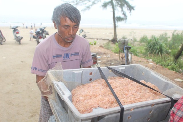 Săn &#34;lộc biển&#34; với ngư cụ tự chế, ngư dân bỏ túi tiền triệu mỗi ngày - 5