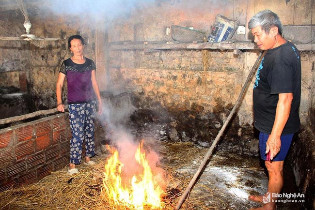 Dịch tả lợn châu Phi: Xứ Nghệ &#34;chuồng không, lợn trống&#34;, giá lợn giống giảm mạnh - 3