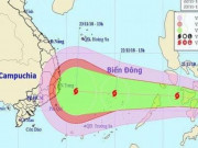 Tin tức trong ngày - Sẽ có 10-12 cơn bão, áp thấp nhiệt đới trong năm 2019