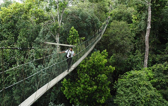 Hè này nhất định đừng bỏ qua những điểm đến hấp dẫn nhất thiên đường nhiệt đới - 11