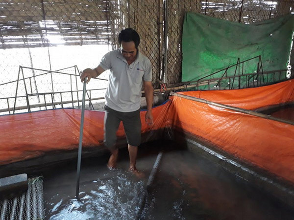 Hưng Yên: Lót bạt nuôi lươn không bùn, nông dân có thêm tiền tiêu - 1