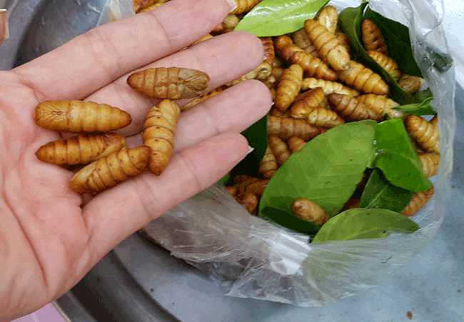 6. Beondegi &#40;nhộng tằm&#41; - Hàn Quốc, Việt Nam. Người Việt Nam sẽ không lạ gì với món ăn này. Con nhộng được luộc hoặc xào như một loại thực phẩm bổ dưỡng. Mặc dù hình dạng là một chút đáng sợ, nhưng chúng là thịt và chất béo.