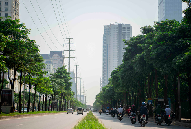 Ngỡ ngàng hoa sữa bung sắc, tỏa hương ngào ngạt giữa Hà Nội phố - 12