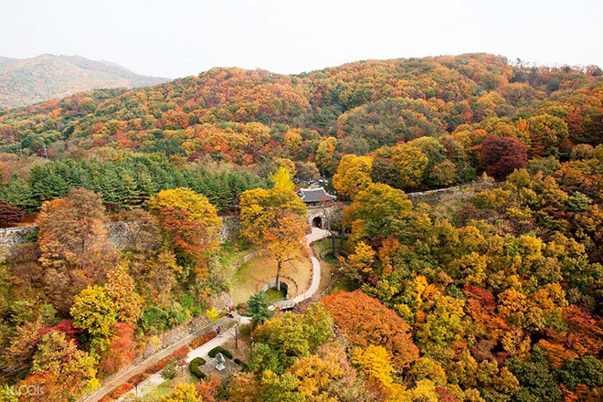 Gyeonggi- chân trời du học lý tưởng tại Hàn Quốc - 1