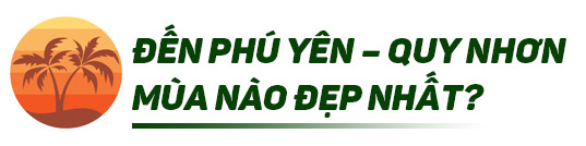 Hành trình 5 ngày 4 đêm từ xứ hoa vàng cỏ xanh đến &#34;Maldives VN&#34; chỉ với 5,5 triệu - 2