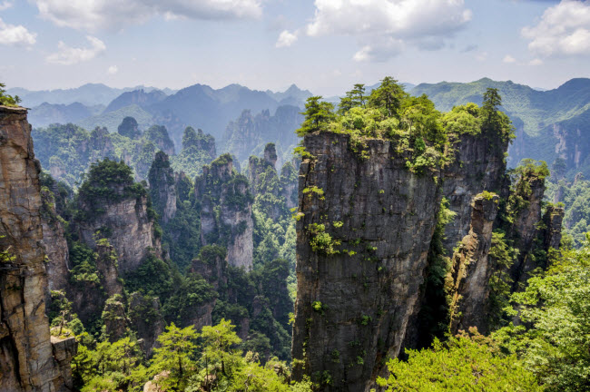 Một số cột đá trong công viên rừng quốc gia Trương Gia Giới có chiều cao hơn 200m. Nơi đây được lấy làm bối cảnh cho bộ phim Avatar