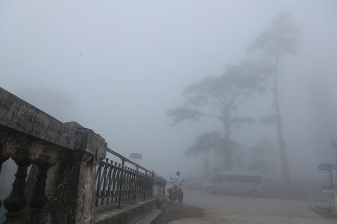 Ảnh: Sương mù giăng kín lối, Tam Đảo đẹp tựa trời Âu - 10