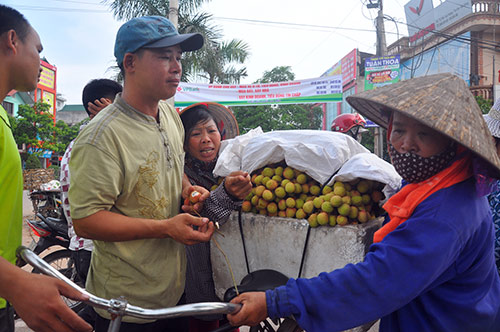 &#34;Thủ phủ&#34; vải thiều mất mùa, giá “leo thang” - 1