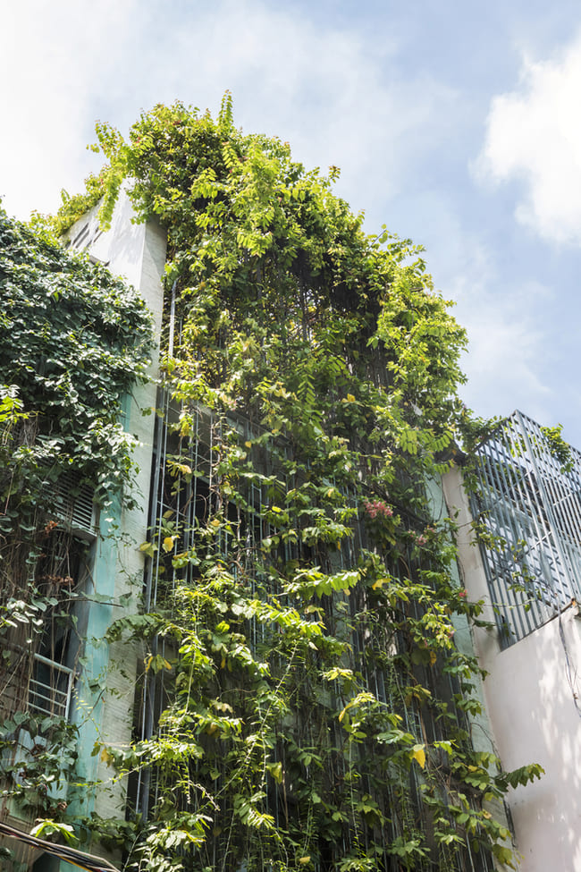 Sở dĩ KTS đặt tên cho công trình của mình là "Ngôi nhà thở" bởi sự thoáng mát, rợp bóng cây.